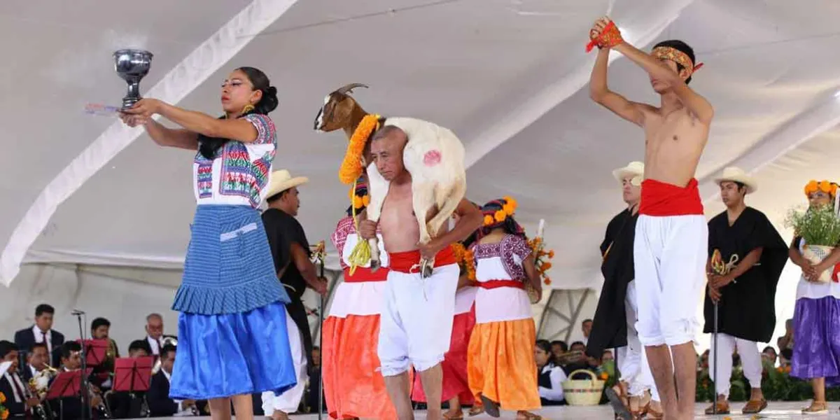 Inicia la matanza de chivos en Tehuacán para tradicional Mole de Caderas 