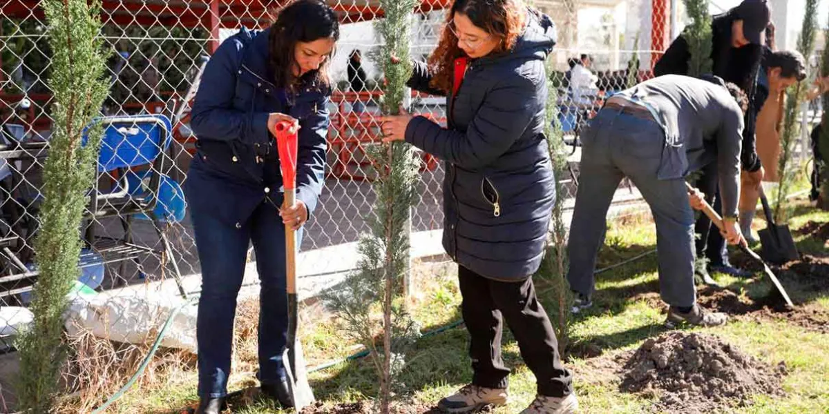 Lupita Cuautle inaugura segunda jornada de “Adopta un árbol” en primaria de Tlaxcalancingo