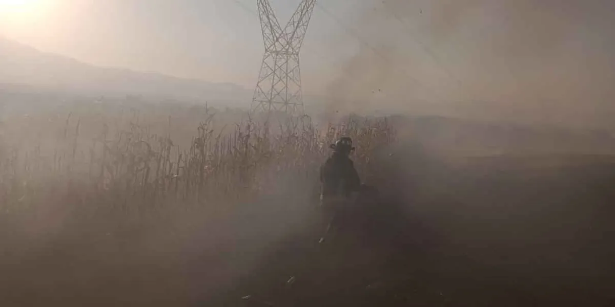 Incendio de pastizales alcanza terrenos de cultivo en el cerro de Totolqueme