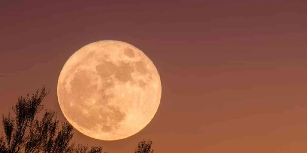 ¡No te la pierdas!, Luna llena de noviembre, esta es la hora para verla 