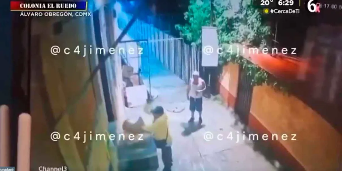 Apuñala a perrita hasta matarla, siguió con sus cachorros, ya fue capturado