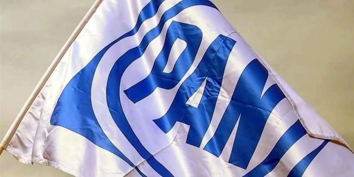 El PAN debe salir fortalecido con elección libre: Guadalupe Leal