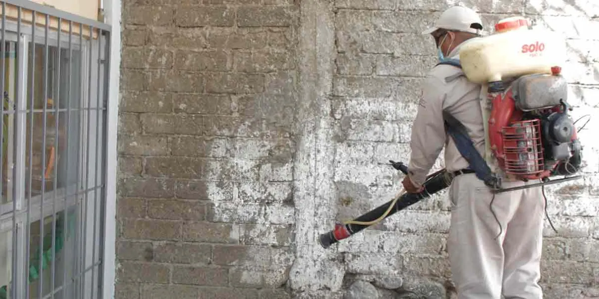 Tehuacán,  Izúcar, Xicotepec,  Huaquechula y  Coxcatlán con más casos de Dengue