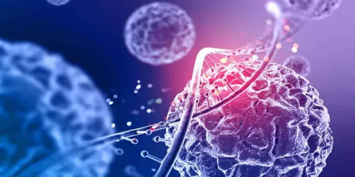 El Metapneumovirus Humano, sus síntomas y consecuencias
