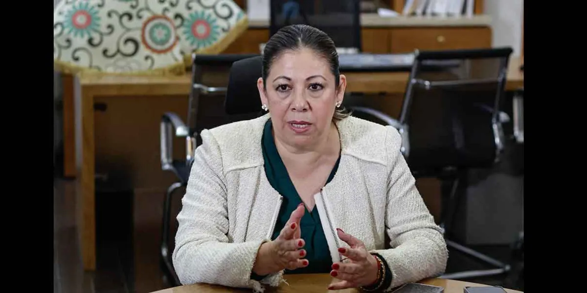 Laura Artemisa llama a diputados a afiliarse formalmente a Morena por congruencia