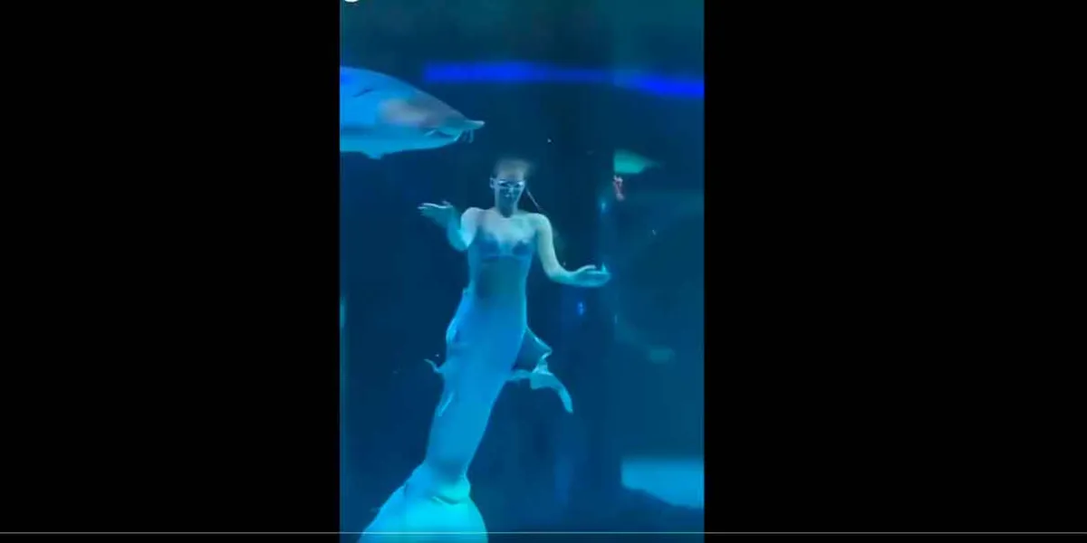 VIDEO. Enorme pez ataca la cabeza de una sirena dentro de acuario en China