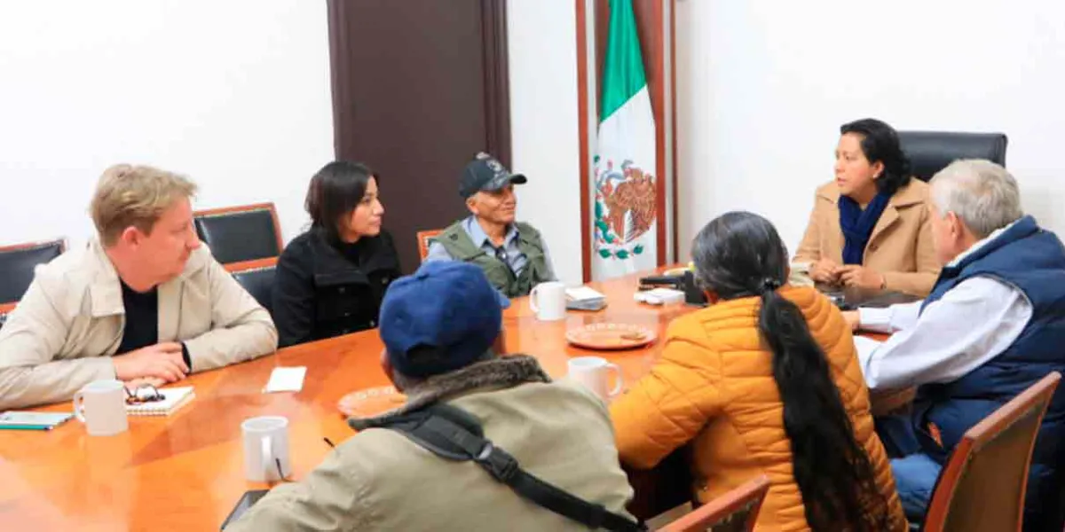 Estrategias agrícolas en Atlixco para consolidar a Puebla como productor de aguacate  