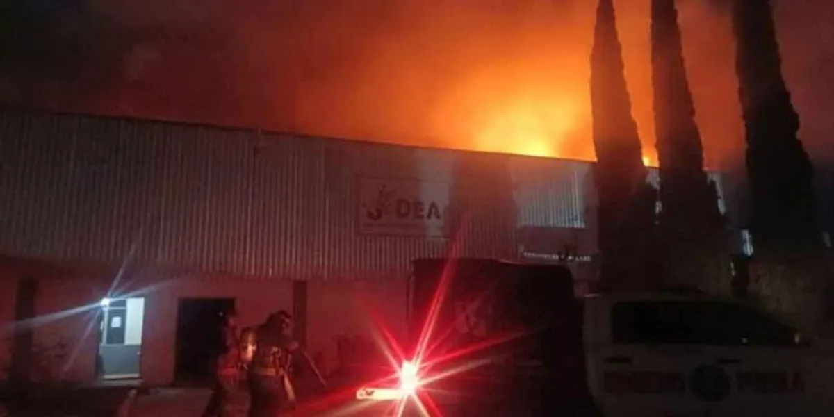 Fuego consumió empresa de reciclado en Chachapa