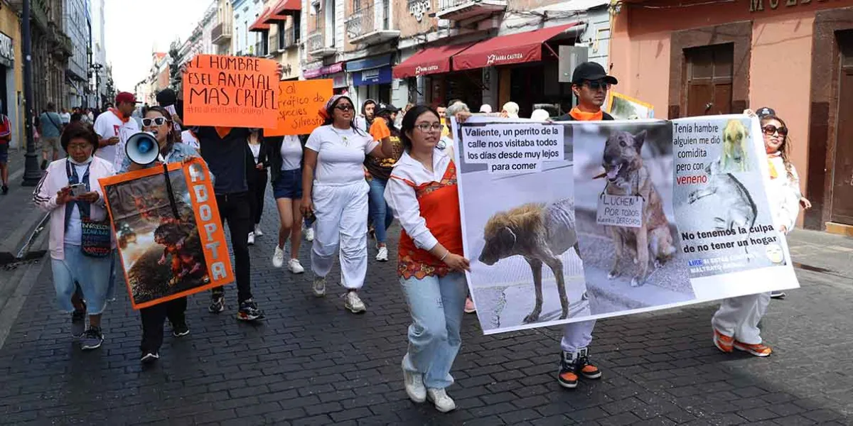 Activistas poblanos exigen fin a las corridas de toros y más protección animal