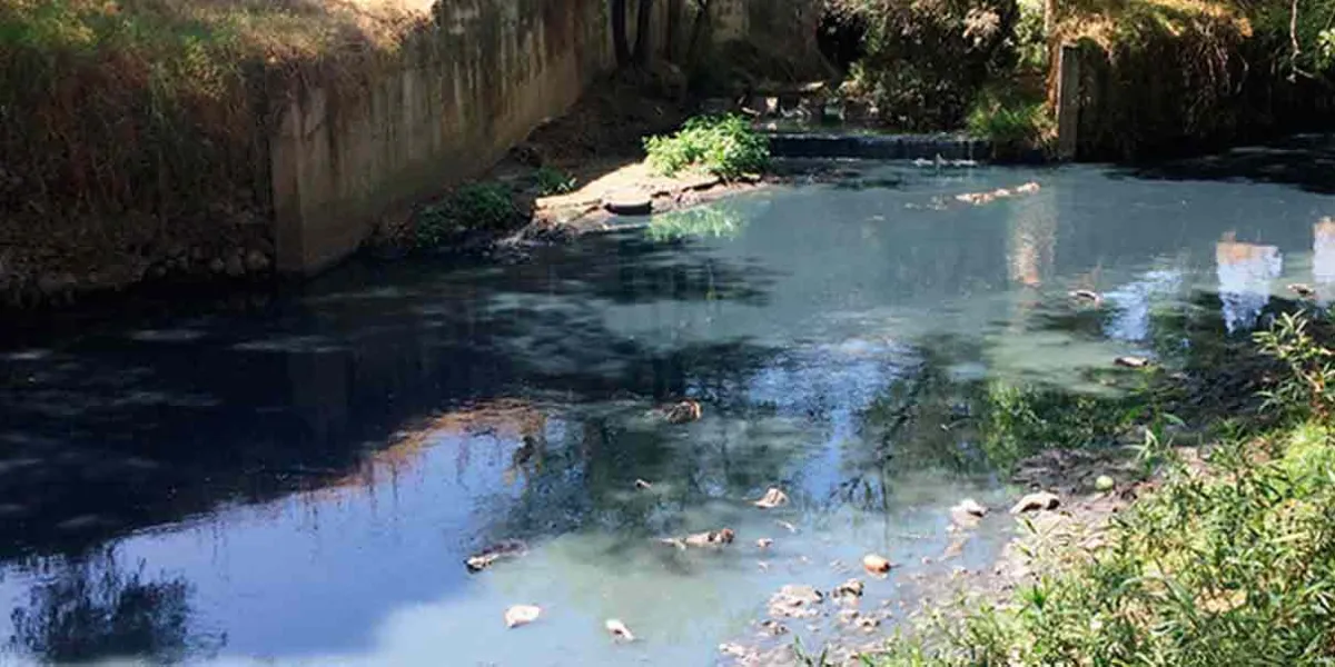 El rescate del río Atoyac se encuentra en etapa de diagnóstico: Medio Ambiente 