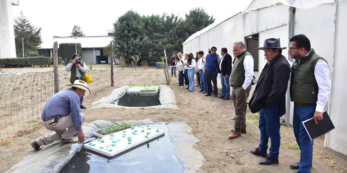 TecNM Ciudad Serdán y UTTECAM fortalecen cooperación académica y tecnológica