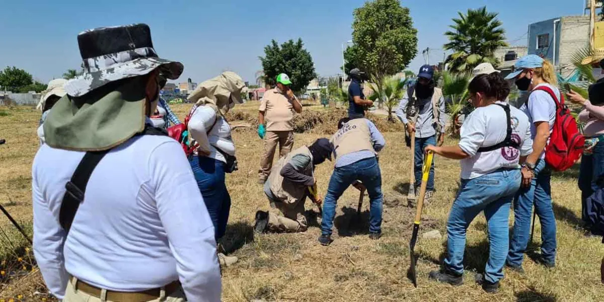 Colectivos critican plan de Sheinbaum y exigen justicia para desaparecidos