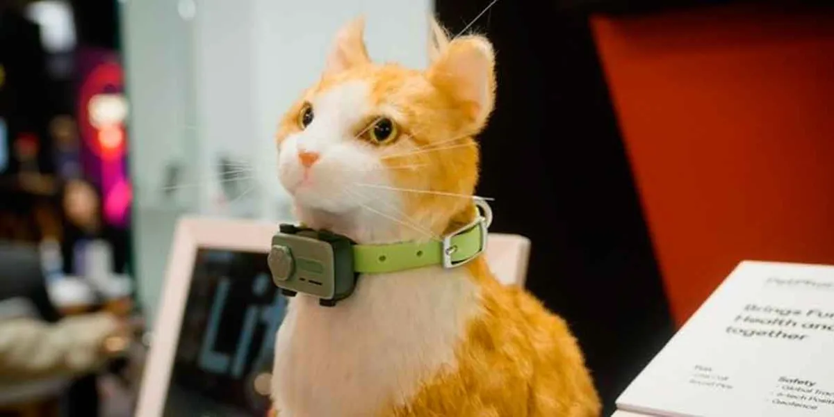Conoce PetPhone, el primer celular para mascotas