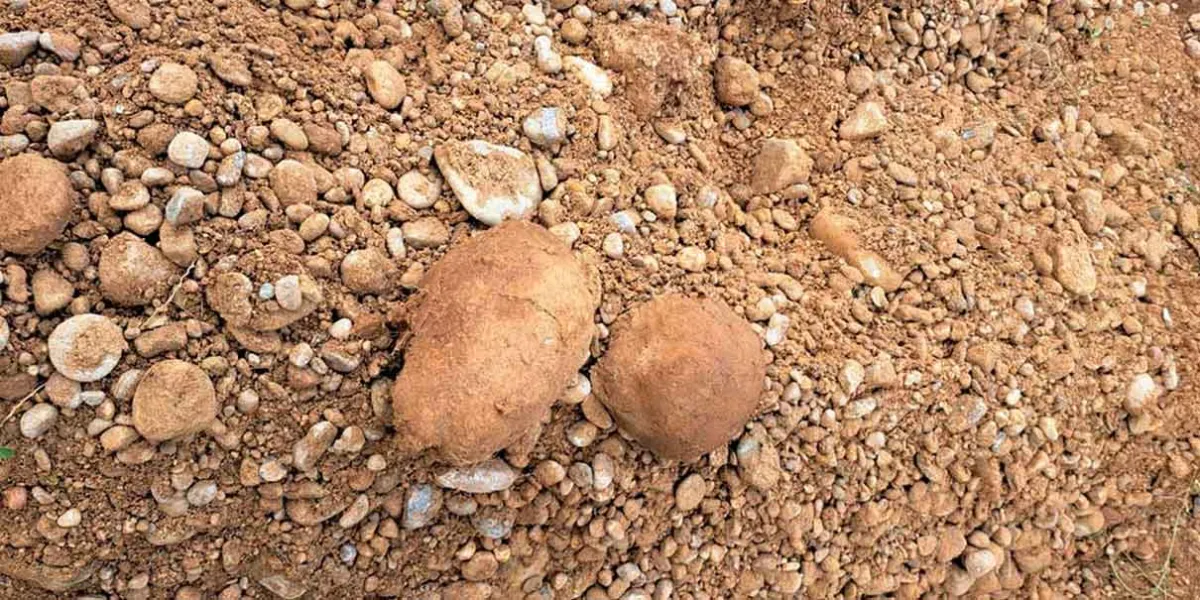 Pastores hallaron cráneo y fémur en campos de Tecamachalco