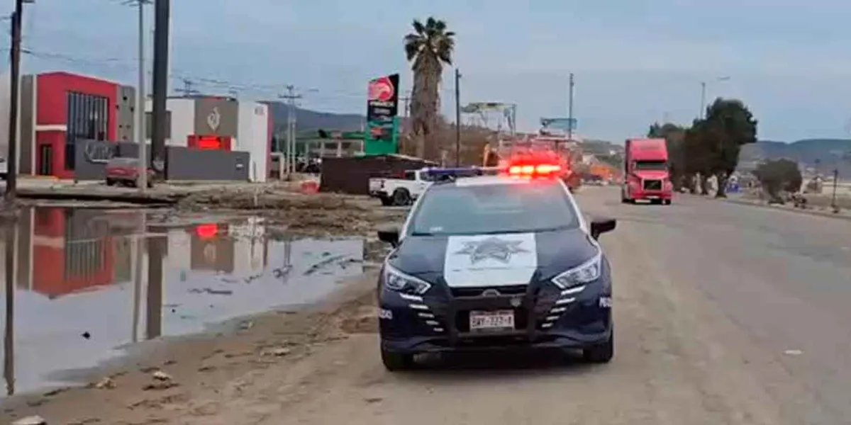 Ubican millones de litros de hidrocarburo robado en predio  de exsenador morneista
