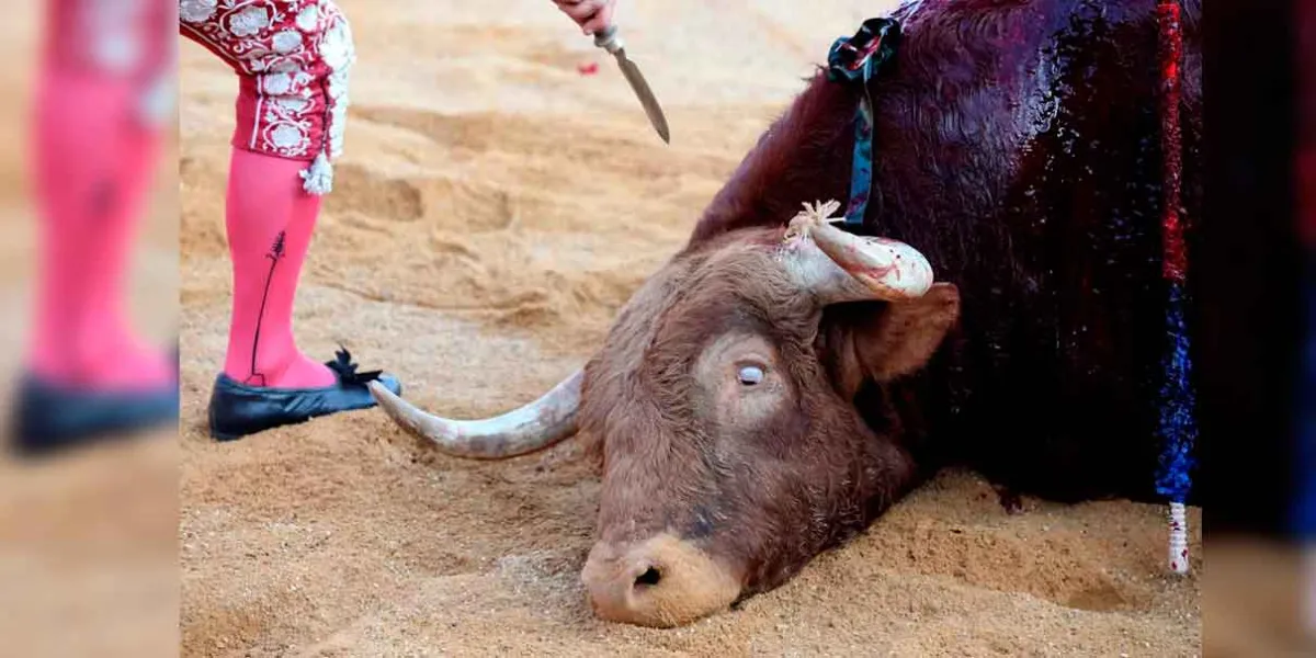 Encuesta revela  rechazo del 75 % a la tauromaquia en CDMX 
