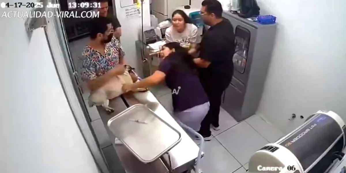 Dueña agrede a veterinaria tras la muerte de su perrita en clínica de Durango