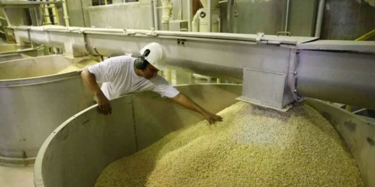 Habrá planta procesadora de harina de maíz en Puebla y más producción de frijol