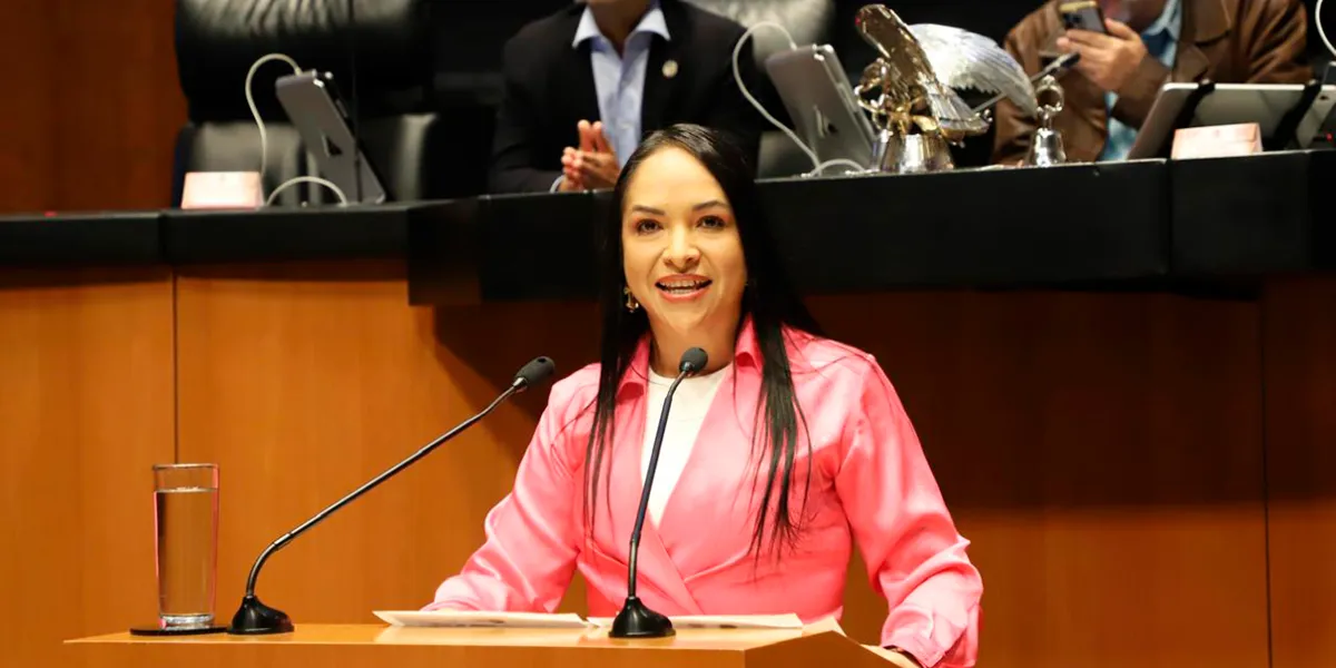 PT define estrategia electoral 2027: Candidaturas en común con Morena en alcaldías clave