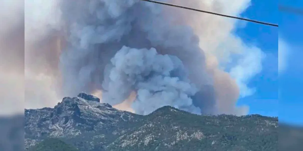 Se intensifica el combate aéreo contra el incendio en el Cofre de Perote