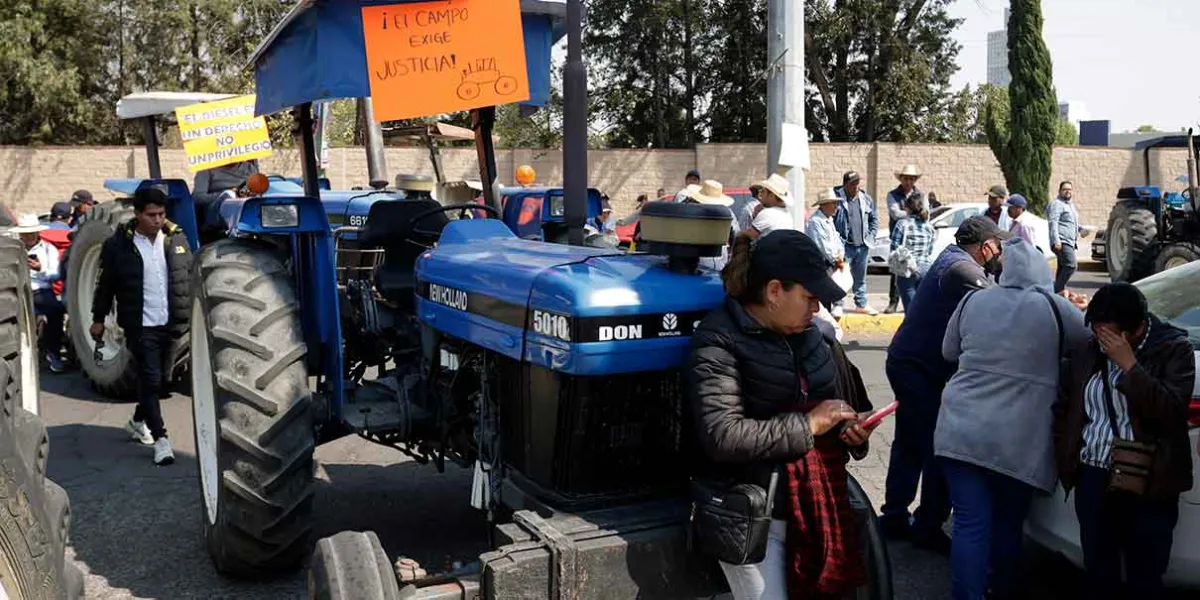 Crisis en el campo poblano: Productores exigen soluciones