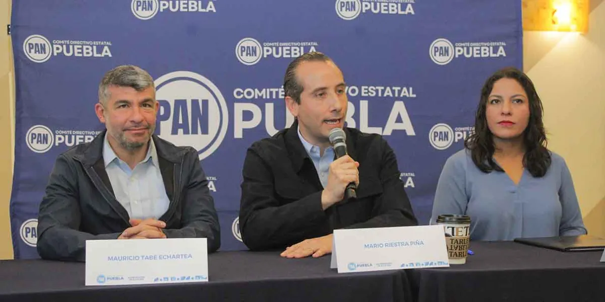 Democracia o rebelión, en AN