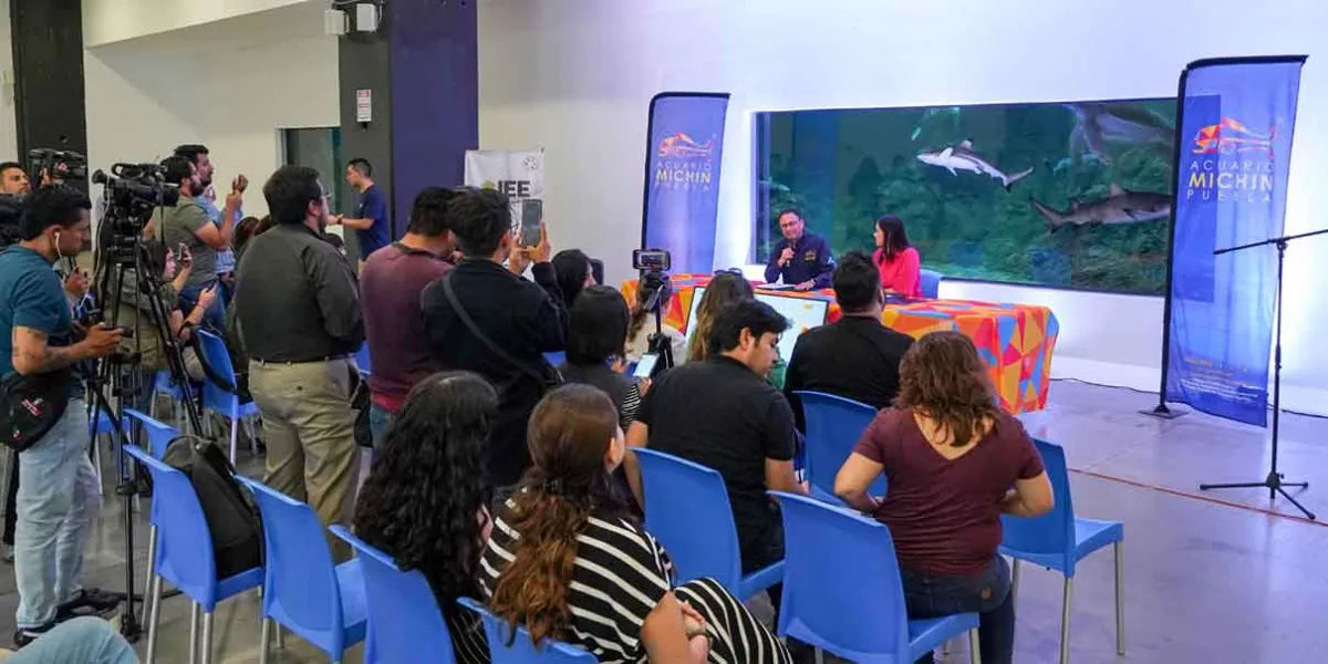 Vinculación el IEE y Acuario Michin para difundir cultura política y cívica