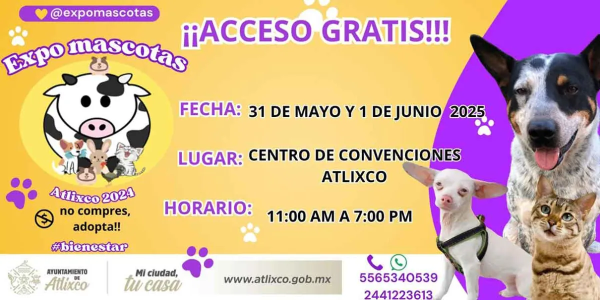 Atlixco se prepara para la Expo Mascotas 2025 con servicios gratuitos para los animalitos 