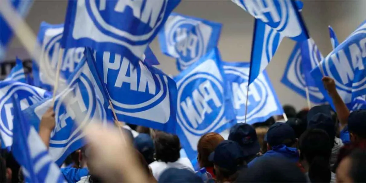Los mapaches de Acción Nacional