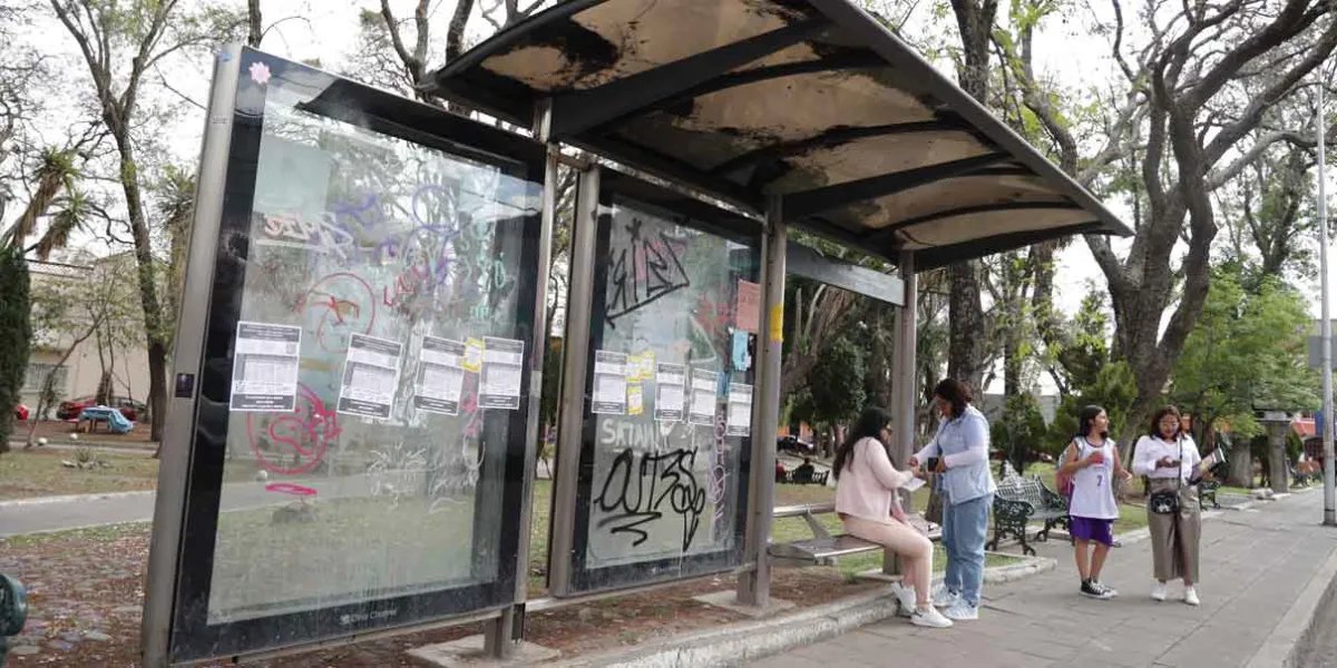 En espera mejoramiento de 400 paraderos en la capital; aún no hay licitación