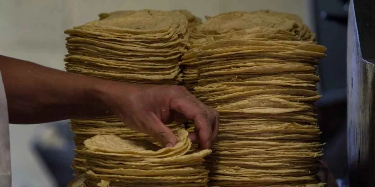 Extorsión al sector tortillero eleva costo de la tortilla en al menos 10 estados