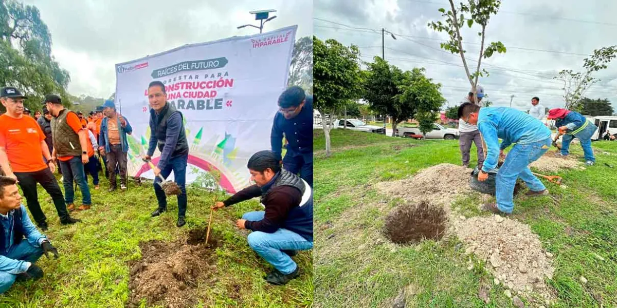 Refuerza Gobierno de la Ciudad acciones ambientales con dos jornadas de plantación de árboles en esta semana