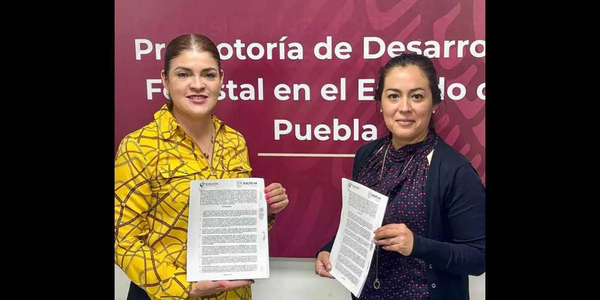 Se unen Zacatlán y Conafor para combatir plagas forestales