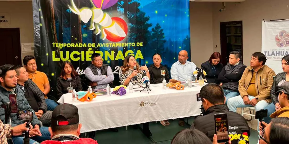 Temporada de luciérnagas 2025 en Tlahuapan: inicia el espectáculo natural más esperado del año