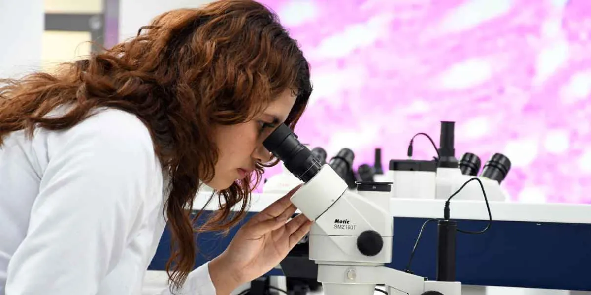 CU2: referente en innovación científica y formación de alta especialidad