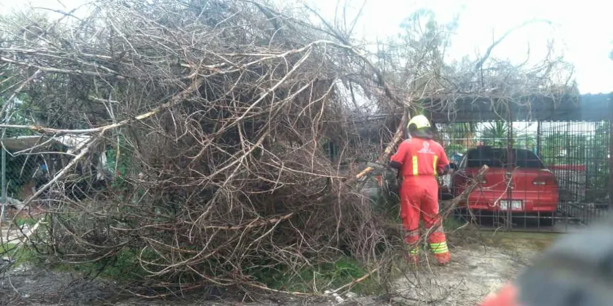 Coordinación interinstitucional y monitoreo puntual del Gobierno de la Ciudad refuerzan la prevención ante lluvias