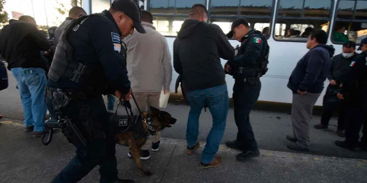 Mediante el operativo Transporte Seguro, la SSC ha inspeccionado más de 6 mil 500 unidades