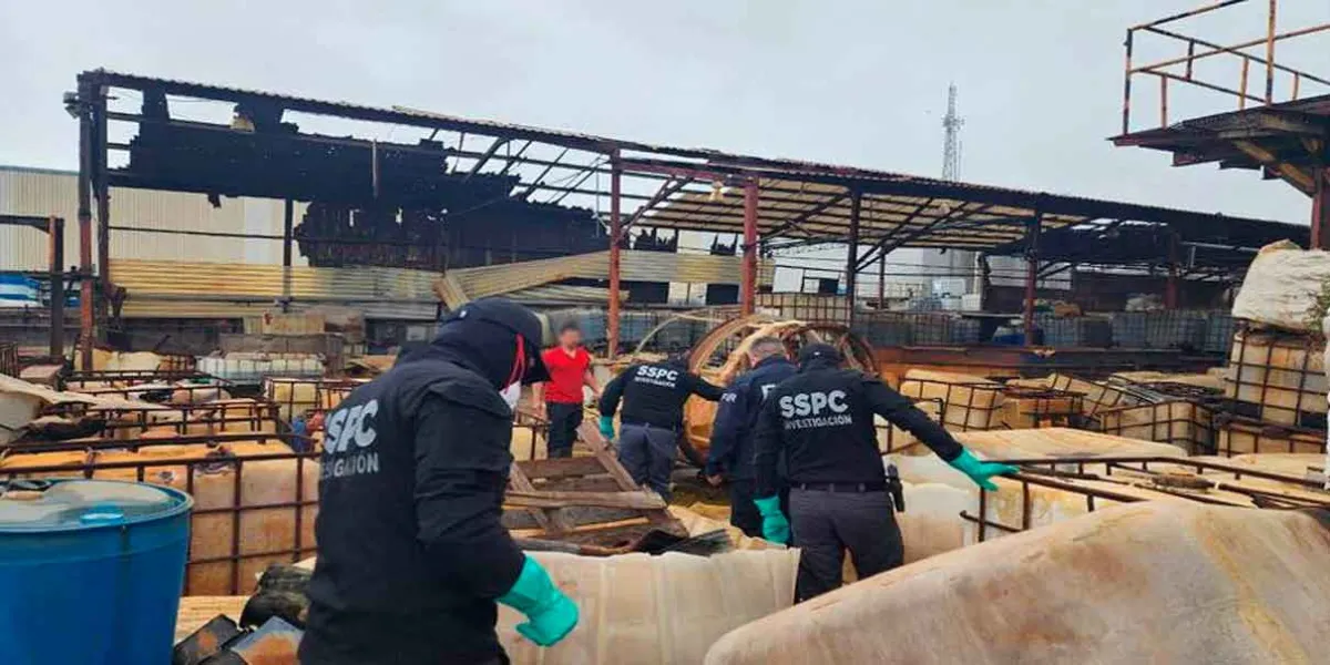 Pentágono en alerta: cárteles mexicanos siembran redes criminales en África