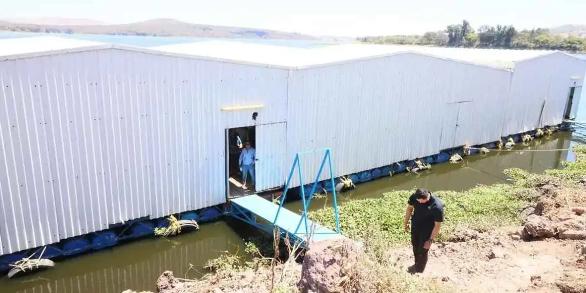Puebla lanza fertilizante industrial y planea versión orgánica