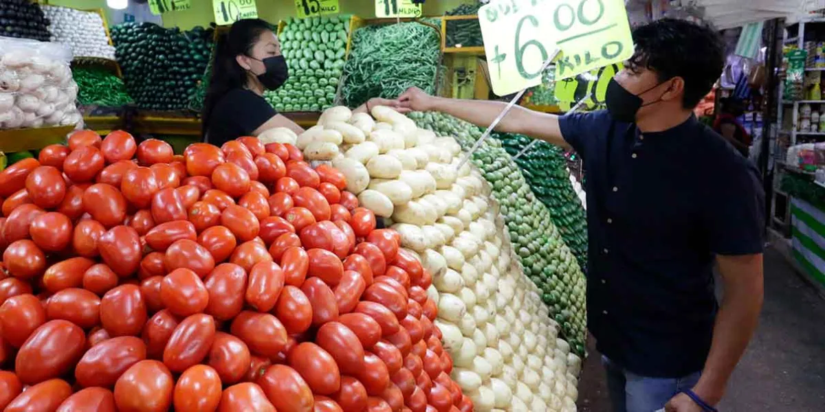 Exportación de jitomate en riesgo