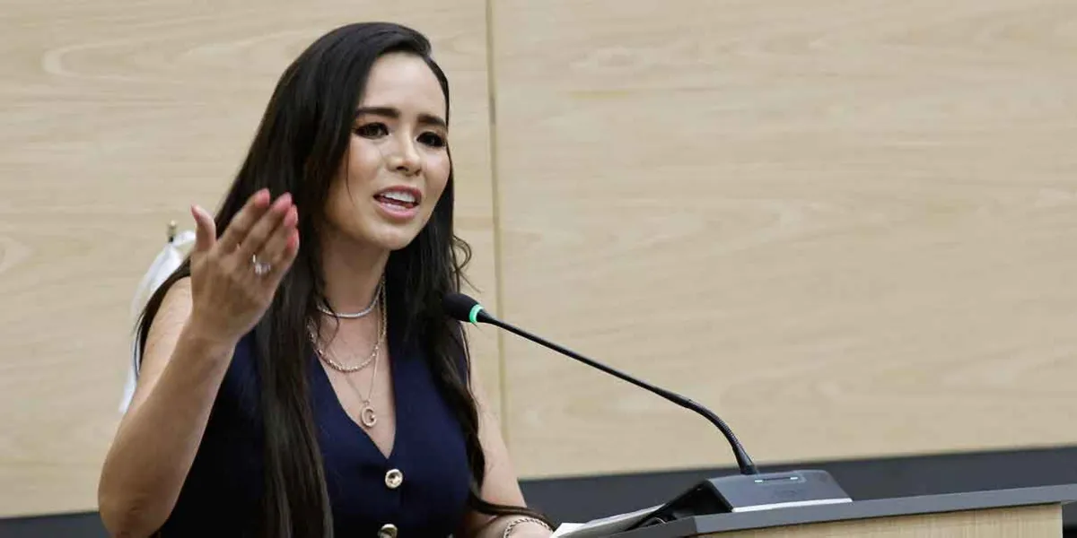 Graciela Palomares dejará diputación el 15 de agosto