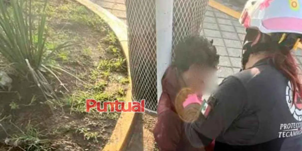 Hallan cuerpo con signos de violencia en Tecamachalco, Puebla: autoridades investigan
