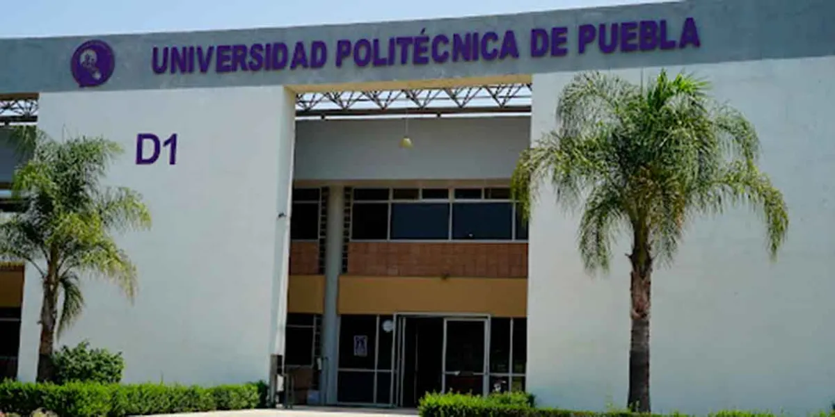 UPP impulsa el emprendimiento juvenil con proyectos de impacto social, económico y ambiental