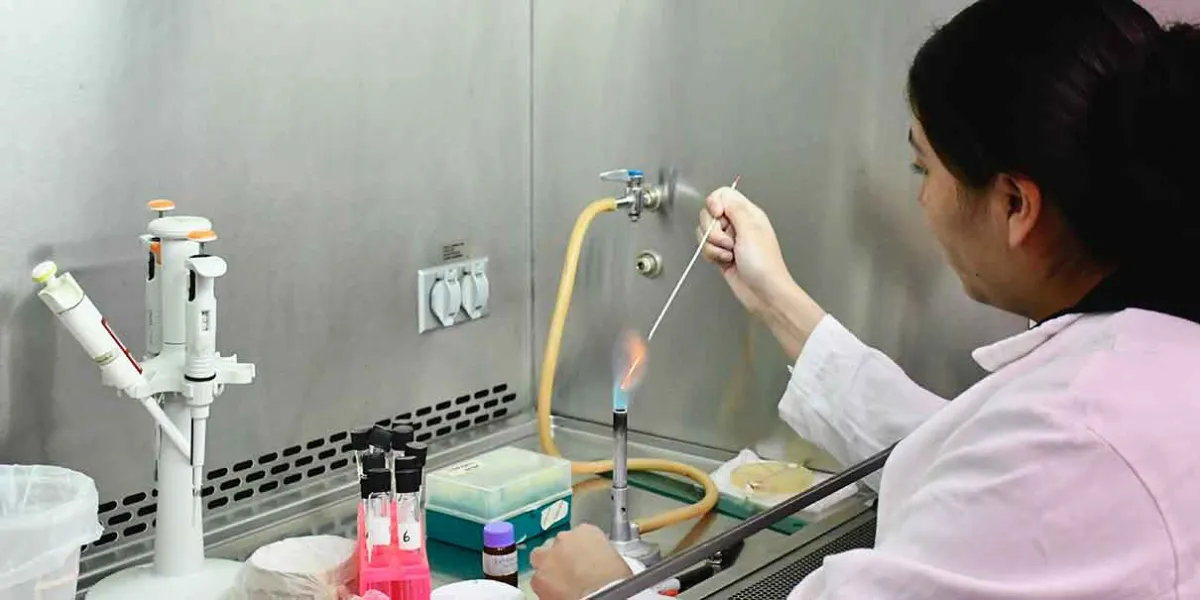 BUAP impulsa ciencia y biotecnología con el CICM, líder en microbiología y desarrollo de biofertilizantes
