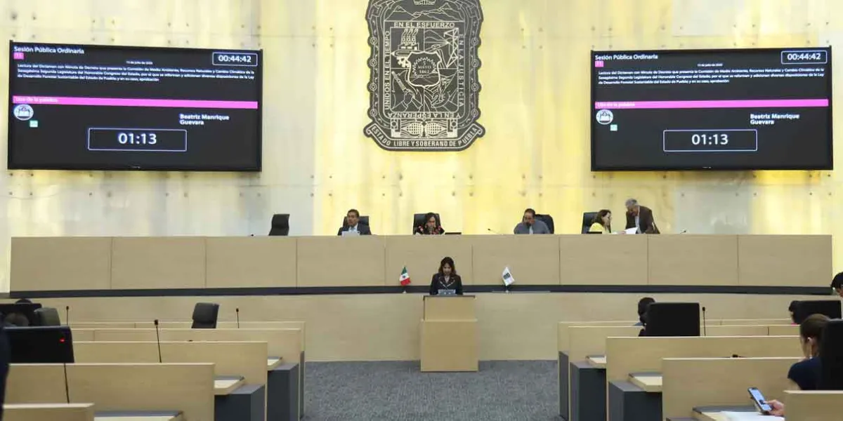 Consejos Consultivos orientarán a diputados en análisis de iniciativas 