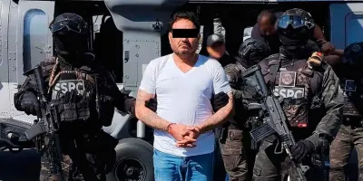 Detienen a “El Botox”, líder de Los Blancos de Troya, tras operativo federal en Michoacán