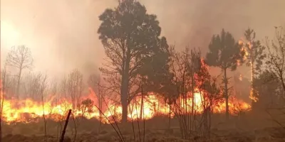 Dos incendios forestales activan a Protección Civil en Tlachichuca