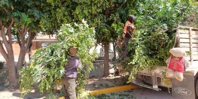 Con participación ciudadana, Tonantzin Fernández impulsa faena en Momoxpan
