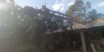 Fuertes vientos provocan caída de árboles e incendio de pastizal en Serdán