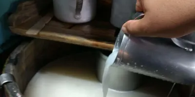 Pulque en Atlixco: tradición al borde del olvido tras medio siglo de abandono